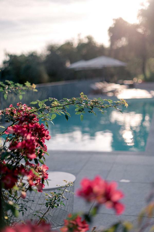 Relais Montepepe Winery & Bed & Breakfast *