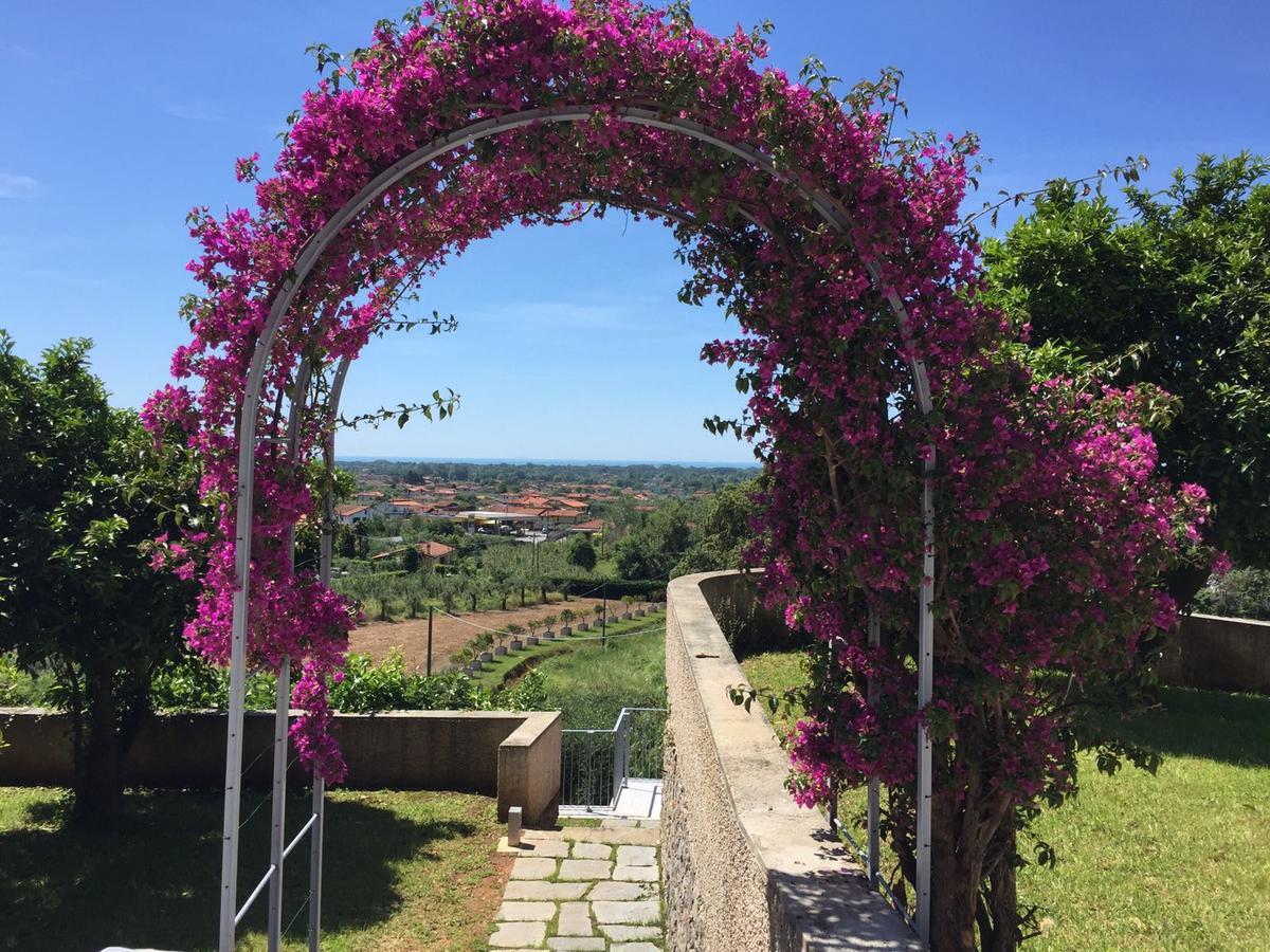Alojamento de Acomodação e Pequeno-almoço Relais Montepepe Winery &